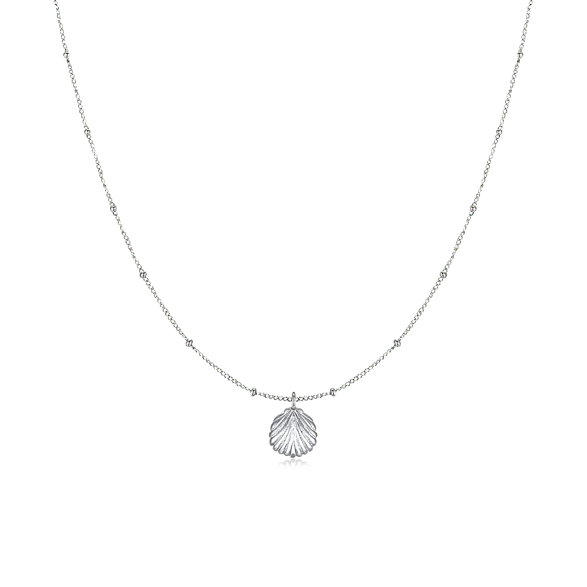 Seashell Necklace - Image 5